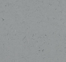 Кварцвиниловые полы Forbo Allura Colour/Colour Plus C68038-651038 neutral grey фото 1 | FLOORDEALER